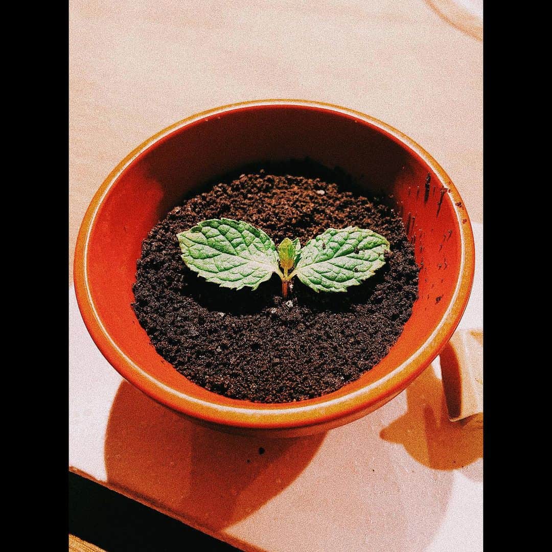 平祐奈のグルメインスタ