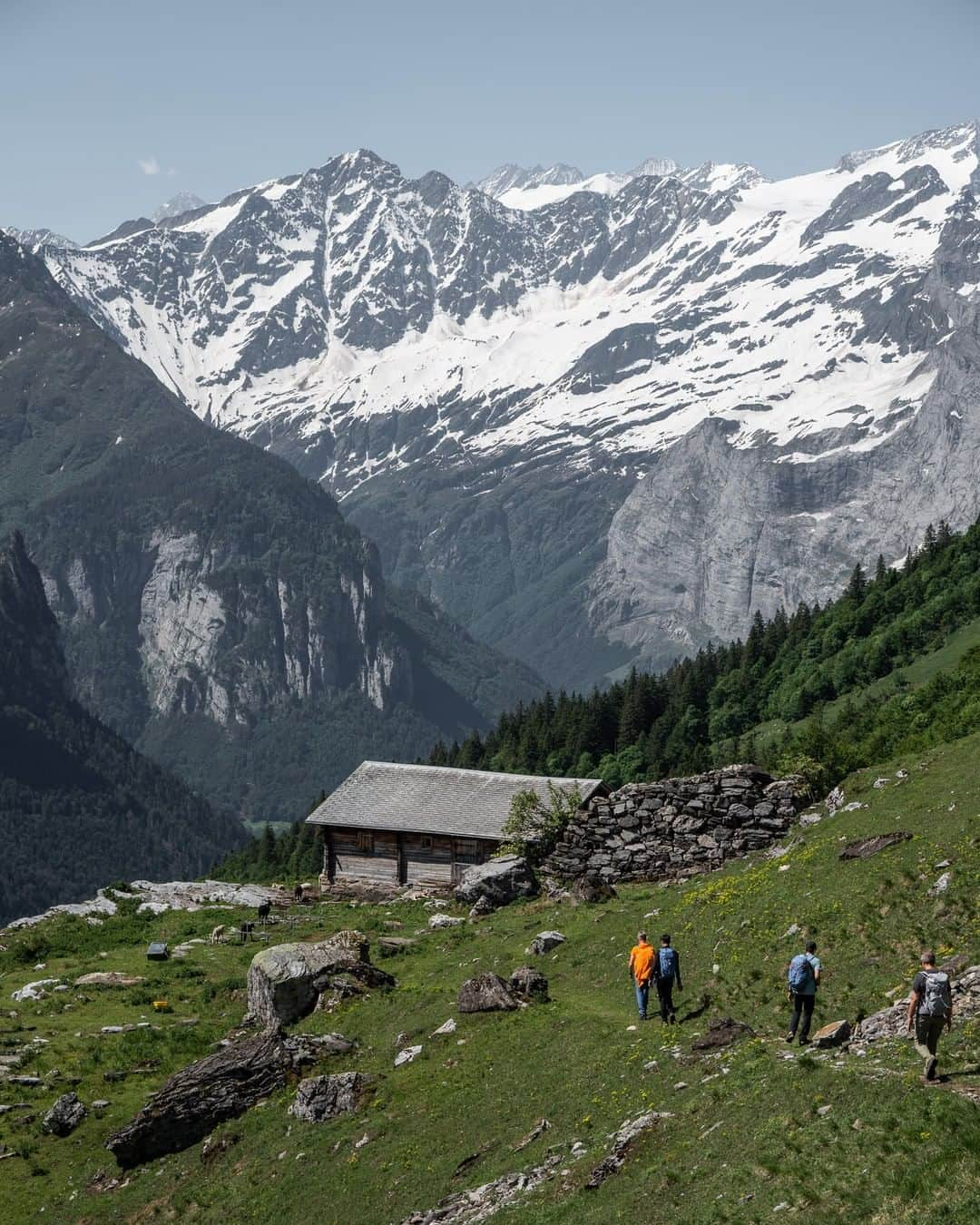 Mammutさんのインスタグラム写真 - (MammutInstagram)「Need some inspiration for your next hiking trip? Check out our stories to see some impressions of the number one hiking trail in Switzerland: the Via Alpina.  You can book your adventure with the Mammut Alpine School with the link in bio. 📷@adrianschurter #mammut_swiss1862 #hiking #switzerland #getoutstayout」7月9日 23時00分 - mammut_swiss1862