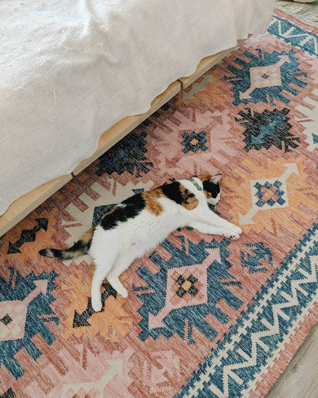 west elmさんのインスタグラム写真 - (west elmInstagram)「Framed Arrows Rug + @FloydDetroit Bed = a bedroom worthy of #catnaps. 😻💤 #naptime #napsonnaps #floyddetroit #catsofwestelm 📸: @yoonjiggs」7月10日 9時17分 - westelm