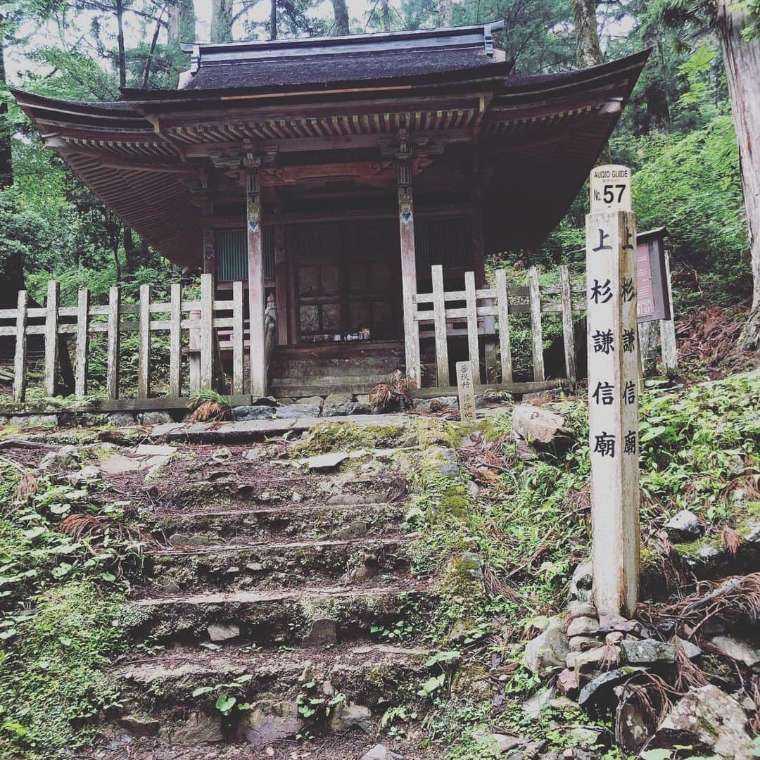 渡辺大さんのインスタグラム写真 - (渡辺大Instagram)「‪昨日の「京都ぶらり歴史探訪」の一コマ。高野山には沢山のエネルギーと人の想いが詰まっている場所でした。巡るところが沢山あるのでぜひ、宿坊なども利用しながら数日かけて行くのがおススメです。‬」7月10日 10時36分 - dai_watanabe0801