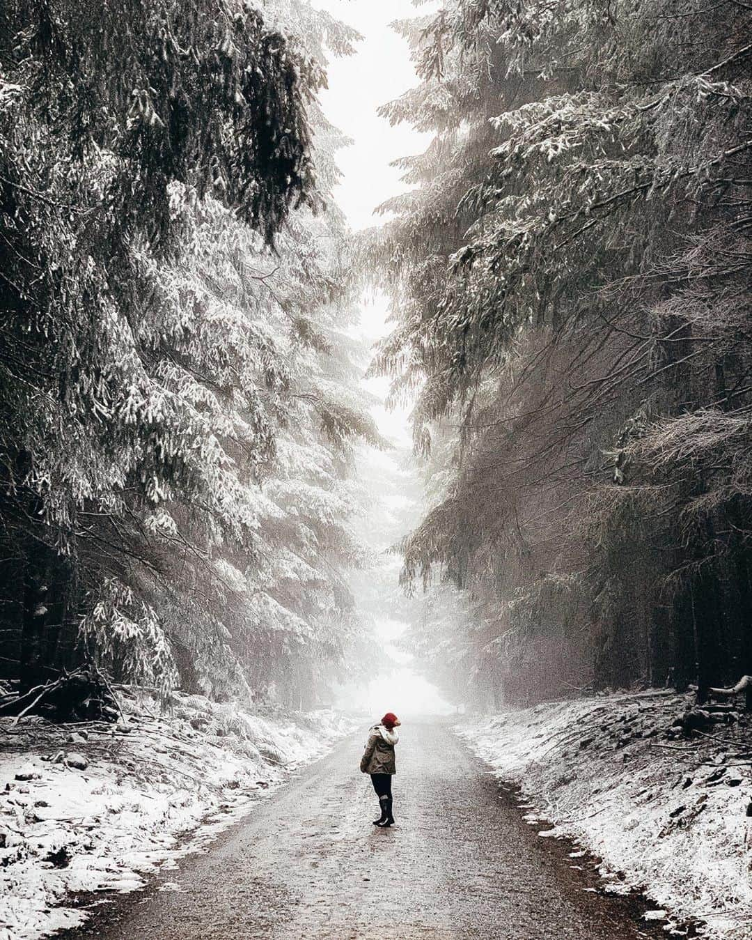 Australiaさんのインスタグラム写真 - (AustraliaInstagram)「Not sure if Narnia or @barringtoncoast…. 🤔 @team.molineaux recently visited this magical spot in #BarringtonTopsNationalPark, a picnic area that’s surrounded by tall pine trees (and #snow on colder days), which certainly makes it look like somewhere out of a fairytale. The park is carved out of ancient volcanic flows, so you’ll find plenty of walking trails from easy short walks to more challenging overnight hikes. Make sure you check the weather beforehand so you know what to pack and wear, especially in the winter months. ❄️ #seeaustralia #newsouthwales #barringtoncoast #travel #thegreatoutdoors」7月10日 4時00分 - australia