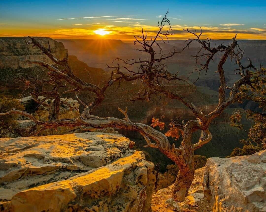 Ricoh Imagingさんのインスタグラム写真 - (Ricoh ImagingInstagram)「Posted @withrepost • @frankleeruggles I've never been down into the Grand Canyon. I figured once I got tired of exploring he rim, I'd head down Bright Angel or do a Rim-to-Rim hike to explore...but I've yet to get bored with the rim. Every few steps offers another mesmerizing vista. I am wowed every few moments.  NEXT TIME...I WILL finally step over the edge and see what secrets await me in this incredible place.  #grandcanyon @grandcanyonnps @visitgrandcanyon  #grandcanyonnationalpark #morninglight #instaphoto #landscapephotography #nationalparkgeek #petapixel @nationalparkservice #amazingviews @nationalparktrust @usinterior #earth.awesome  #NPGeekAmbassador #optoutside #natural.earth #planet_earth_shots  #awesome.geography #earth_shotz #arizona #sunrise #nevada #nationalparkgeek @natgeo #bpmag  #79yearprojects #chasingthelight  #outdoorphotomag #nationalparks #backcountry  #goldenhour #traveldestinations #national_park_phototography #pentax645z #pentax645ambassador @ricohpentax @ricohusa  #mediumformat」7月10日 5時20分 - ricohpentax