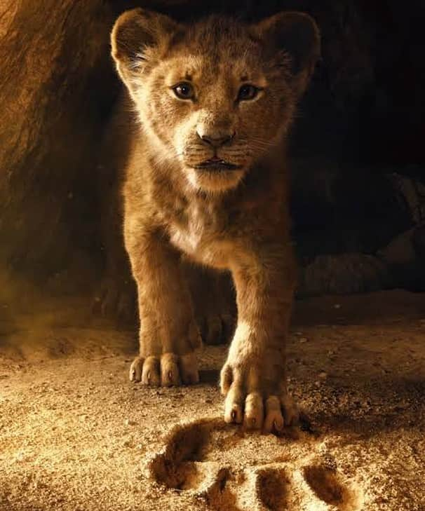 Black Jaguar-White Tiger さんのインスタグラム写真 - (Black Jaguar-White Tiger Instagram)「Can’t wait :) #TheLionKing #ElReyLeon」7月10日 5時23分 - blackjaguarwhitetiger