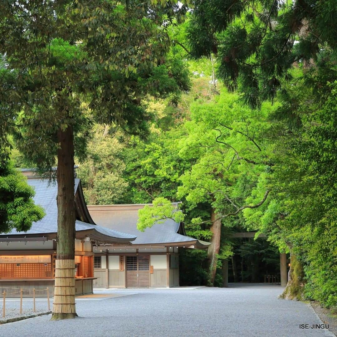 伊勢神宮さんのインスタグラム写真 - (伊勢神宮Instagram)「#伊勢神宮 #神宮 #神社 #心のふるさと #外宮 #参道 #神楽殿 #ISEJINGU #JINGU #SOUL_of_JAPAN #Japan #Jinja #Shinto #Geku #Kaguraden」7月10日 11時00分 - isejingu.official