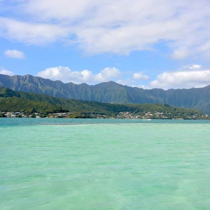Luxury Cruise by Captain Bruceさんのインスタグラム写真 - (Luxury Cruise by Captain BruceInstagram)「本日のツアーでは、非日常的な体験をすることができたとお客様から伺いました。⁠ ⁠ 🌺天国の海でのんびりとリラックスしていただけるとすごく嬉しいです：）⁠ ⁠ ⁠ #captainbruce #sandbar #kaneohe #hawaii #oahu #oahulife #ahuolaka #aloha 🧡 #キャプテンブルース #天国の海ツアー #天国の海 #アフオラカ #ハワイ大好き #絶景 #海」7月10日 7時10分 - cptbruce_hi