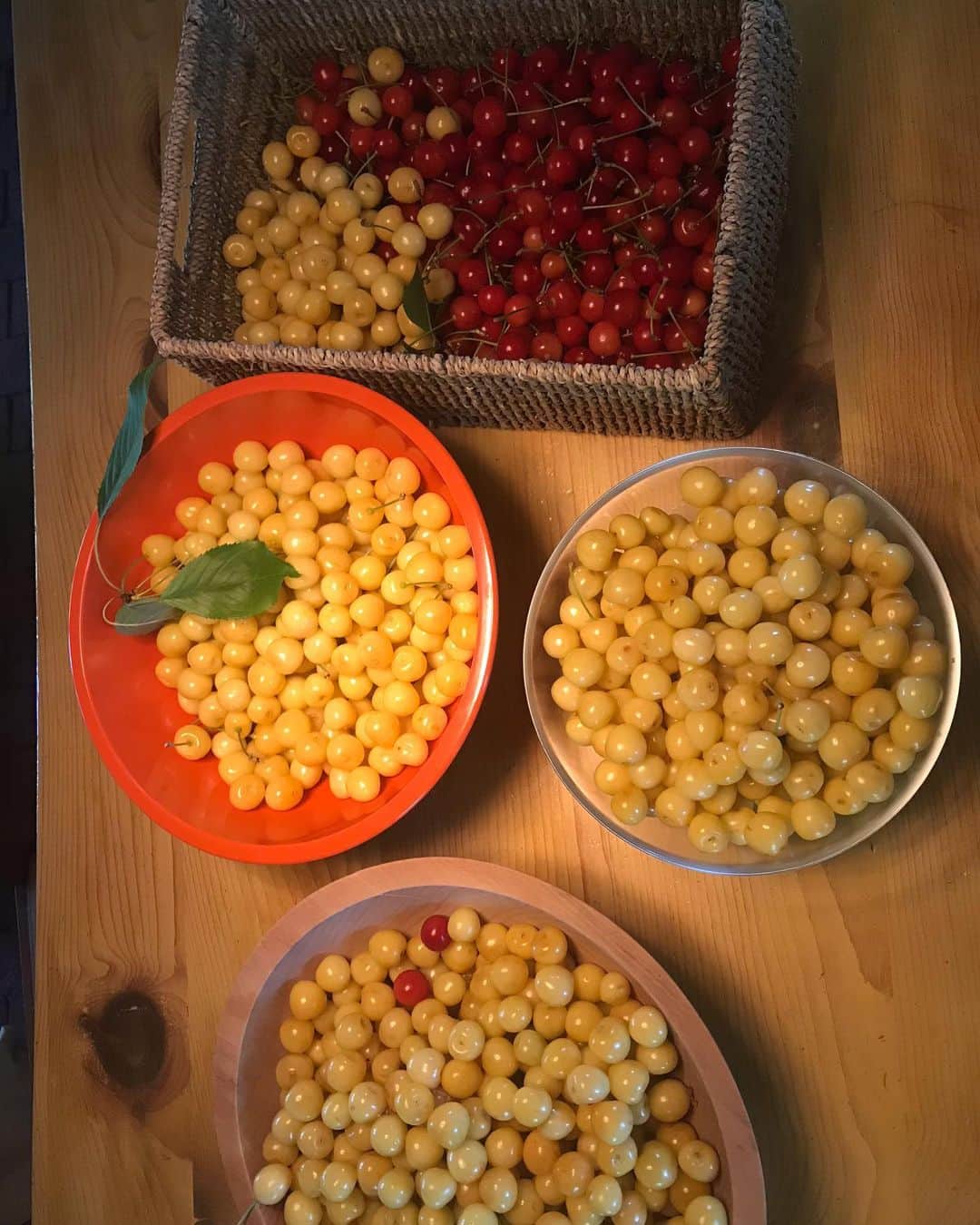 ジュリア・ロバーツのインスタグラム：「Oh Summer, you are too kind. @elderflatfarm we wish you were here MORE than usual. ♥️ 🍒 ♥️」