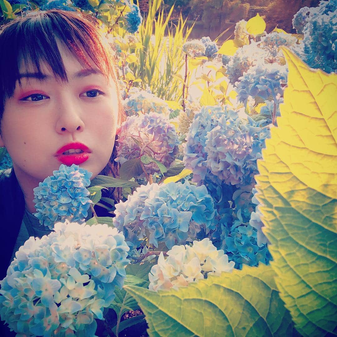 脇田唯さんのインスタグラム写真 - (脇田唯Instagram)「＊ 紫陽花に埋もれる」7月10日 7時43分 - post_yui