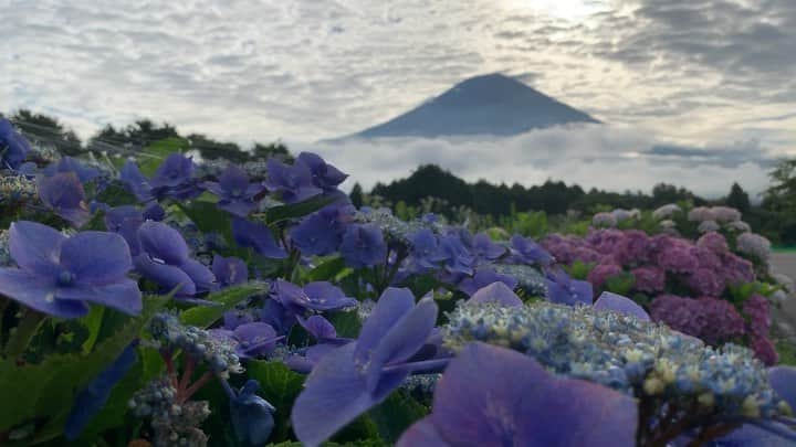 のインスタグラム：「. 🤩🤩“Shizuoka” prefecture in Japan is a place where you can see the most “phantastic” Mt. Fuji🗻 in the world.🤩 #富士山 #mtfuji #japan #shizuoka #fujinomiya  #phantastic420photography #mostphantasticmtfuji #selamatpagi  #goodmorning  #おはようございます 😇😇😇😇😇😇😇🗻😇😇 #rwc2019_moment #rwc2019フォトコン #shizuoka  @make_the_moment」