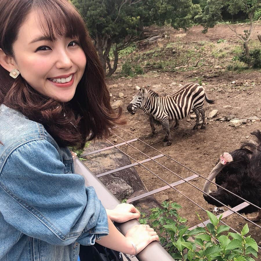 りーまるさんのインスタグラム写真 - (りーまるInstagram)「目の前にキリン🦒 スワイプしてね▶︎▶︎▶︎ ・ ・ ・ #りーまる #サロモ #サロンモデル #インフルエンサー #フリーモデル#フリーランスモデル#撮影データ #撮影モデル募集 #広告モデル ・ ・ ・ ・ ・ ・ ・ ・ ・ 動物との距離がとても近い #伊豆アニマルキングダム 🦁🌟 ・ ・  1枚目のダチョウの首の傾け加減、 とてもかわいいですよね😆 ・ ・ サファリパークよりもキリンを近くに感じたのは ここが初めてで、一緒に行ったキッズより 私の方がはるかにはしゃいでしまいました🐶💓 ・ ・ ここのパークは本当に広くて、 遊園地も併設されててちびっ子がいる家族には 本当におススメです😊💐 ・ ・ ・ ・ ・ ・ ・ 〈 撮影依頼募集中〉 7月の撮影依頼おまちしてます♪ DMくださると嬉しいです💐 よろしくお願い致します☺︎ ・ ・ ・ ・ #アパレルモデル  #ポートレートモデル #被写体モデル#カメラマンさんと繋がりたい #作品撮り  #写真好きな人と繋がりたい  #美容好きな人と繋がりたい #日比谷ランチ #女子力アップ  #ホワイトタイガー#カジュアルコーデ #大人カジュアル #ふれあい動物園 #遊園地 #動物園#韓国メイク#家族旅行 #伊豆#プチプラコーデ  #ナチュラルメイク」7月10日 7時45分 - riii_maru162cm