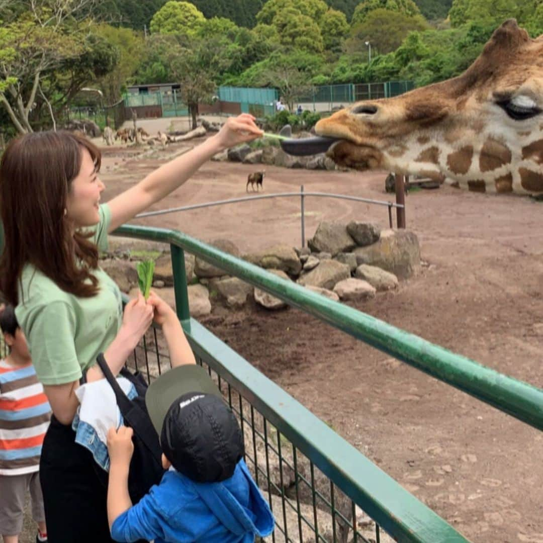 りーまるさんのインスタグラム写真 - (りーまるInstagram)「目の前にキリン🦒 スワイプしてね▶︎▶︎▶︎ ・ ・ ・ #りーまる #サロモ #サロンモデル #インフルエンサー #フリーモデル#フリーランスモデル#撮影データ #撮影モデル募集 #広告モデル ・ ・ ・ ・ ・ ・ ・ ・ ・ 動物との距離がとても近い #伊豆アニマルキングダム 🦁🌟 ・ ・  1枚目のダチョウの首の傾け加減、 とてもかわいいですよね😆 ・ ・ サファリパークよりもキリンを近くに感じたのは ここが初めてで、一緒に行ったキッズより 私の方がはるかにはしゃいでしまいました🐶💓 ・ ・ ここのパークは本当に広くて、 遊園地も併設されててちびっ子がいる家族には 本当におススメです😊💐 ・ ・ ・ ・ ・ ・ ・ 〈 撮影依頼募集中〉 7月の撮影依頼おまちしてます♪ DMくださると嬉しいです💐 よろしくお願い致します☺︎ ・ ・ ・ ・ #アパレルモデル  #ポートレートモデル #被写体モデル#カメラマンさんと繋がりたい #作品撮り  #写真好きな人と繋がりたい  #美容好きな人と繋がりたい #日比谷ランチ #女子力アップ  #ホワイトタイガー#カジュアルコーデ #大人カジュアル #ふれあい動物園 #遊園地 #動物園#韓国メイク#家族旅行 #伊豆#プチプラコーデ  #ナチュラルメイク」7月10日 7時45分 - riii_maru162cm