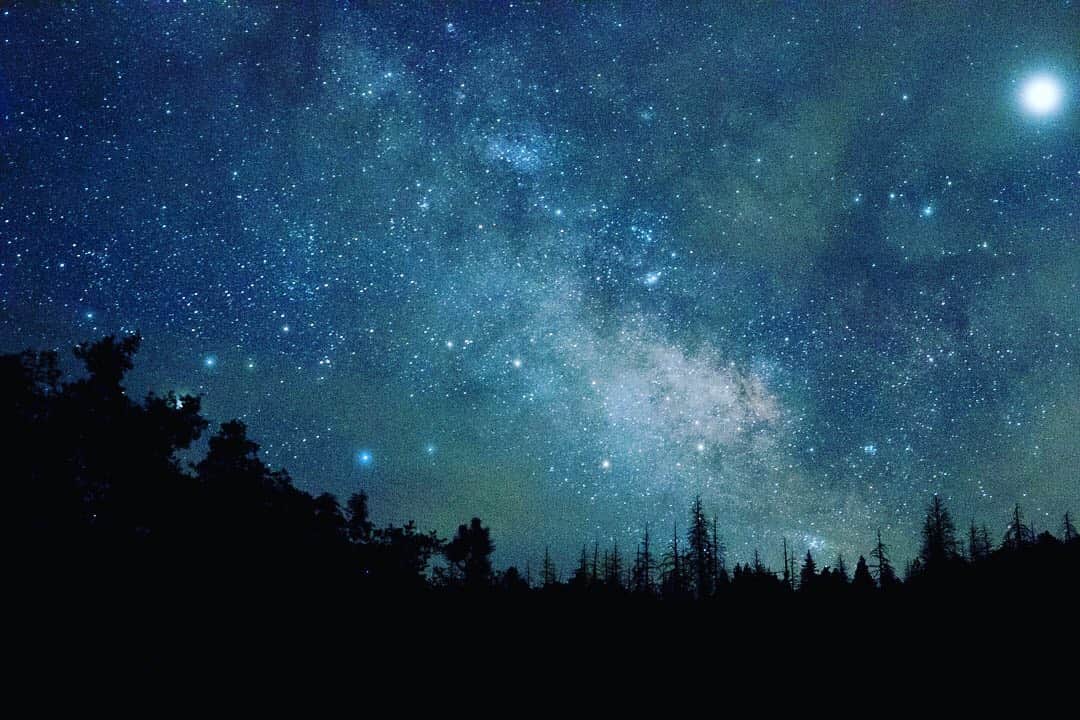 テディ・シアーズのインスタグラム：「It’s #NationalForestWeek! My kick-ass (multi-hyphenate) in-law and friend @skynseadiver and I recently spent a few moonless nights in the Sequoia National Forest snapping pics. This is one of his finest. Get outside! #ItsAllYours」