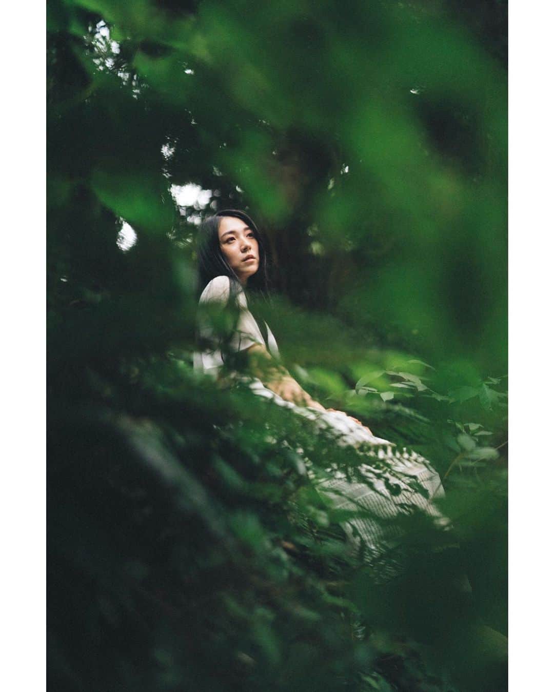 GENTAのインスタグラム：「🌿Season of deep green🌿 緑の濃い季節になってきましたね。 季節で緑の色が変わるなんて、写真を撮るようになるまで気がつきませんでした。 #planar」