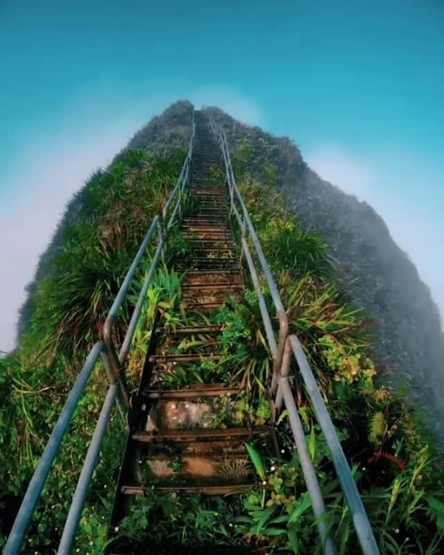 Nature|Folk|Portrait|Videoのインスタグラム：「━━━━━━━━━━━━━━━━━━━ Video by @tomjauncey  Congratulations!  Selection by @gulperi_karademir ━━━━━━━━━━━━━━━━━━━ Team #ig_mood @unsalsicilli @humanistanbul @celilbezeng @emili35 @gizemparlak_ @gulumsedunya @semihcevval @gulperi_karademir @hakancgrn ━━━━━━━━━━━━━━━━━━━ Community @moodcommunity General Tag #moodcommunity ━━━━━━━━━━━━━━━━━━━ #ig_pics_tomjauncey」