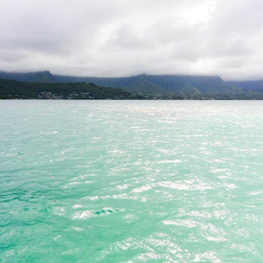 Luxury Cruise by Captain Bruceさんのインスタグラム写真 - (Luxury Cruise by Captain BruceInstagram)「天国の海は、時間帯や方角、お天気によって全く違う景色。⠀⁠ 浅瀬と深い海の境界のコントラストが素晴らしいです⠀⁠ ⠀⁠ #captainbruce #sandbar #kaneohe #hawaii #oahu #oahulife #ahuolaka #キャプテンブルース #天国の海ツアー #天国の海 #アフオラカ #ハワイ大好き #景色 #海」7月10日 18時45分 - cptbruce_hi