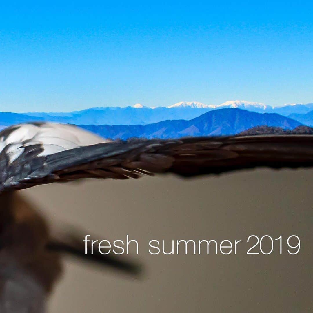 YURAPOi ゆらぽぃさんのインスタグラム写真 - (YURAPOi ゆらぽぃInstagram)「my wings is a mountain range. fresh summer 2019」7月10日 19時26分 - ryoichisakai