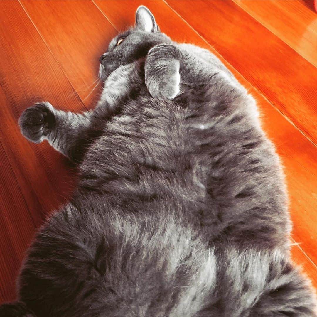 チキン南蛮カレーのルウ王子のグルメインスタ