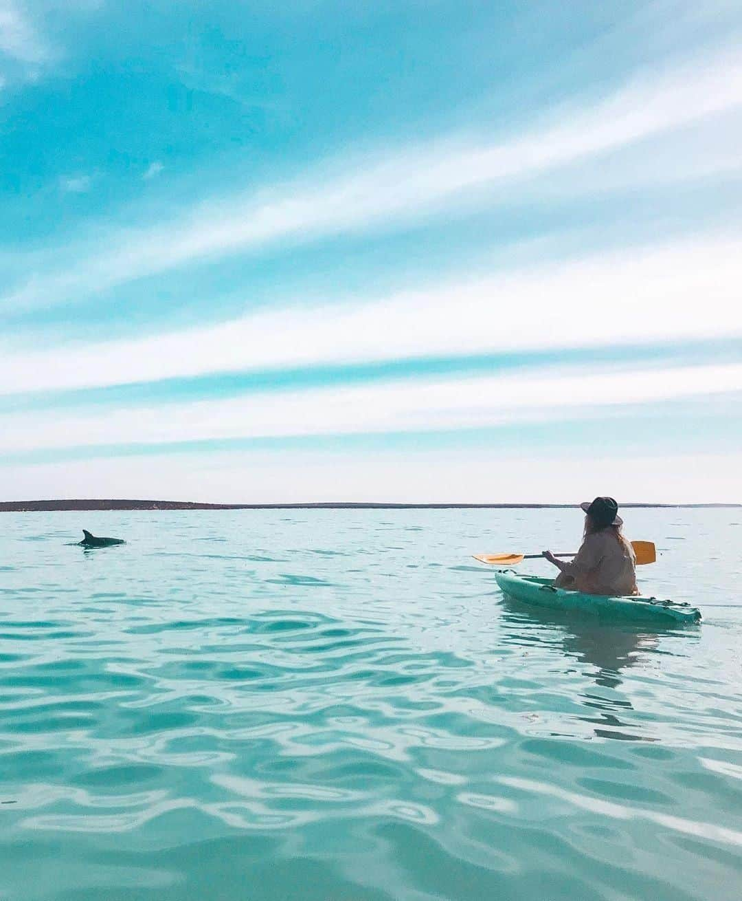 Australiaさんのインスタグラム写真 - (AustraliaInstagram)「This is dolphinitely where we’d rather be today! 🐬 @elizabethjayne.__ enjoyed this special encounter in @westernaustralia’s #MonkeyMia Reserve recently, where the local bottlenose #dolphins are famous for swimming up to shore to interact with humans during daily feedings. While you can’t swim with or touch the dolphins in this part of @australiascoralcoast, you may get the opportunity to feed the dolphins under the supervision of a national park ranger on duty. It really is as special as it sounds. 💙  #seeaustralia #justanotherdayinwa #australiascoralcoast #travel #wildlifephotography」7月10日 20時00分 - australia