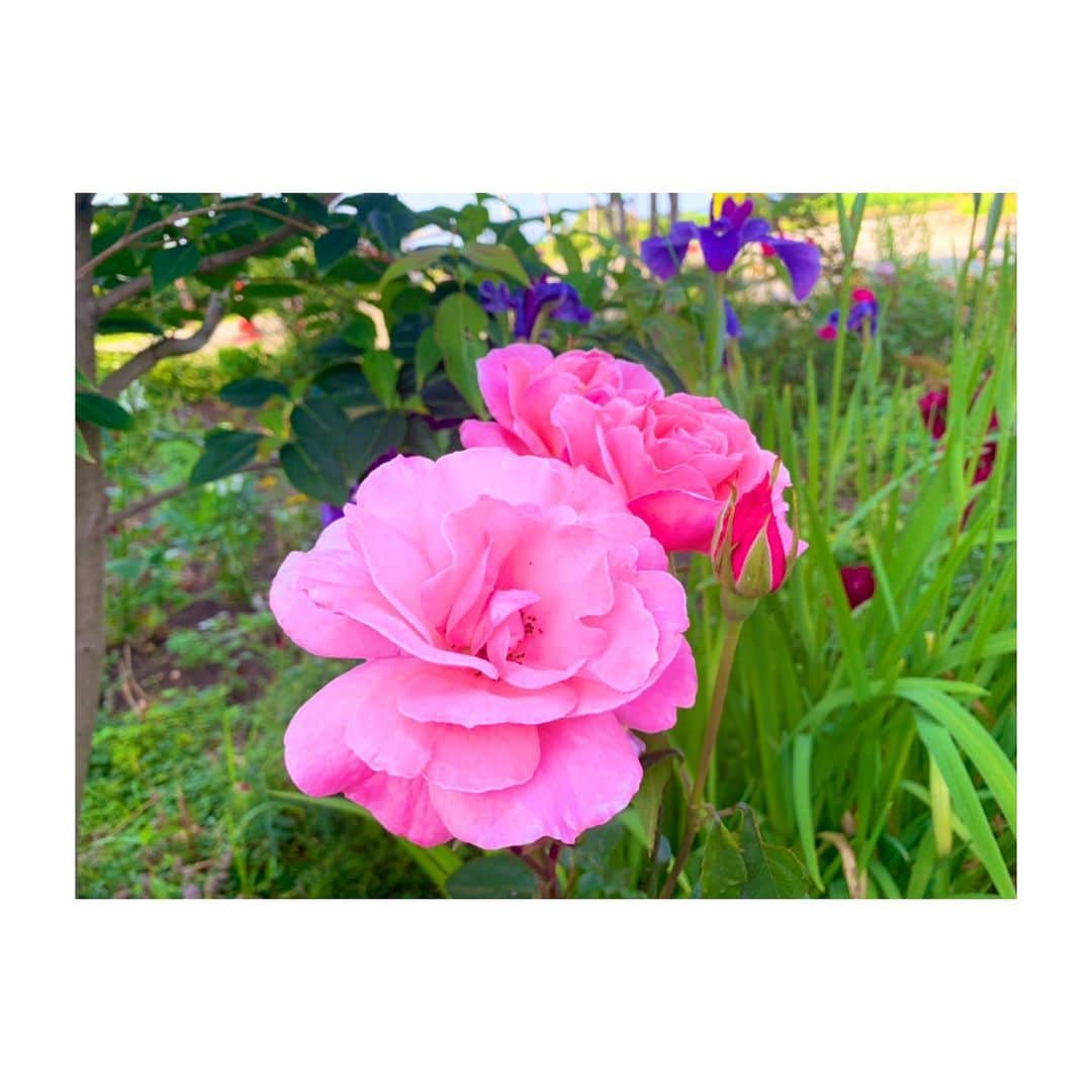 喜多よしかのグルメインスタ