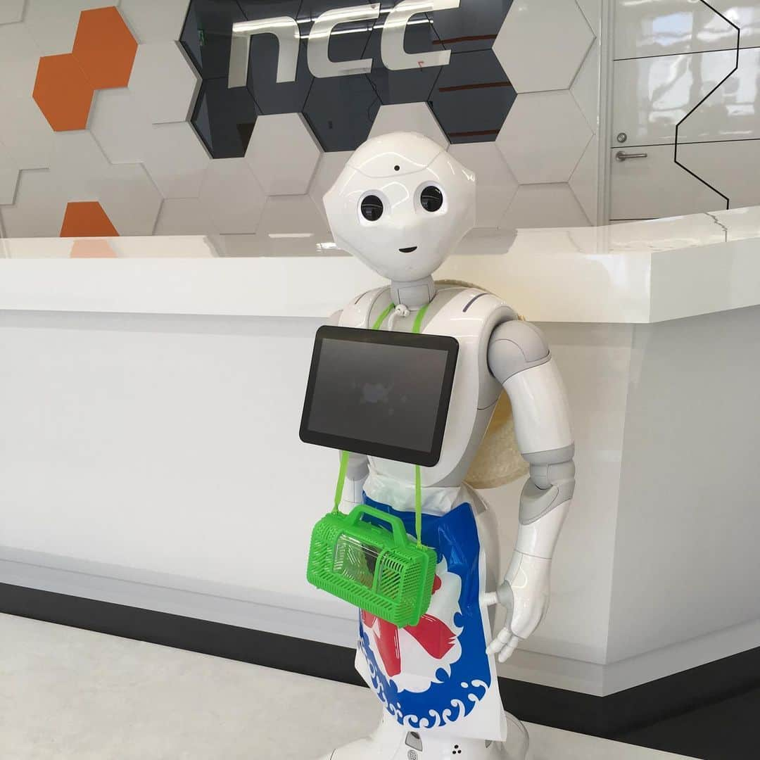 NCC新潟コンピュータ専門学校さんのインスタグラム写真 - (NCC新潟コンピュータ専門学校Instagram)「NCC のpepperも夏仕様🌻 虫カゴの中には…！？ #夏 #今年は #山 #バージョン #カブトムシ #いるよ #pepper #新潟コンピュータ専門学校 #nsgカレッジリーグ」7月10日 12時00分 - ncc_niigata