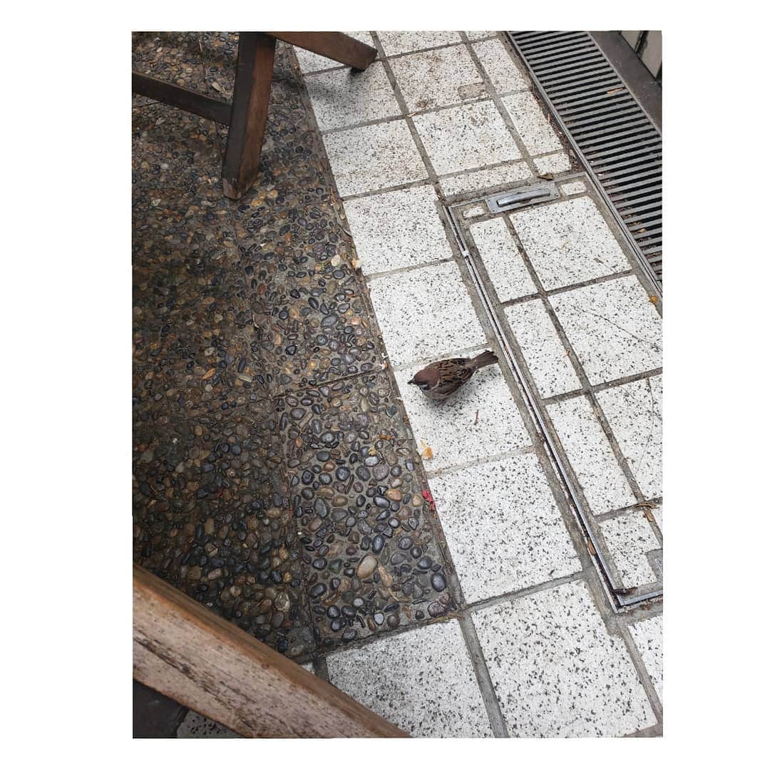 信國太志のインスタグラム：「Today's lunch friend.」