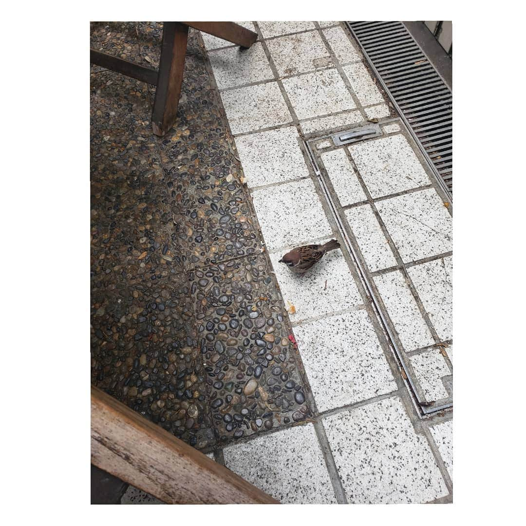 信國太志さんのインスタグラム写真 - (信國太志Instagram)「Today's lunch friend.」7月10日 12時19分 - taishinobukuni