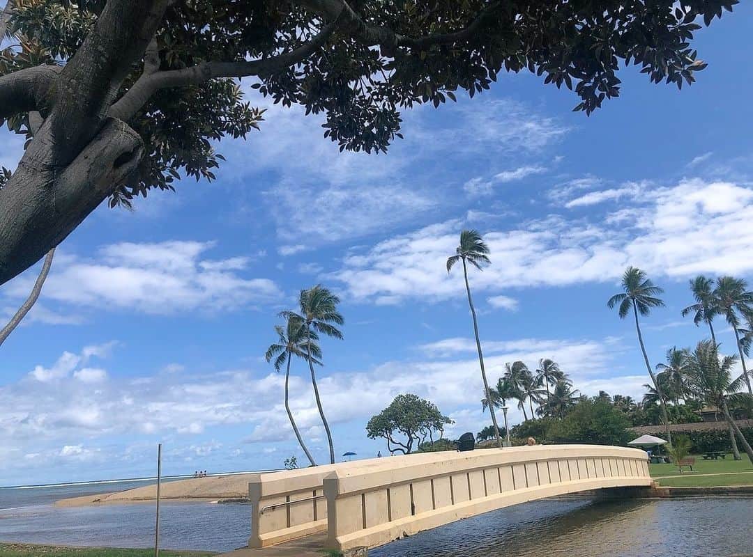 ちょびさんのインスタグラム写真 - (ちょびInstagram)「まだ鮮明に思い出せる ハワイの情景🌴もうあんな 長いフライト一生いいや！って 思ったけどやっぱりもう一度 あの自然と街並みとって感じたいなぁ🌛 . #ハワイ#hawaii#love#街並み#風景#自然#nature#waikiki」7月10日 12時21分 - kaoriririn15