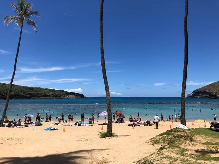 野本愛さんのインスタグラム写真 - (野本愛Instagram)「ハワイ旅行の続き😊💕💕 . シュノーケリングが好きだから、ハナウマ湾に行ったよー☺️✨✨ . 水中カメラで可愛いお魚も激写😆❣️ . シュノーケリングの足ヒレとかゴーグルとかは #ハワイアンオーシャンプロモーションズ さんでレンタルしました😆👍 . ピンクのALOHAロゴTシャツは @ekalosangelesjapan だよ💕 . #ハワイ旅行 #ハナウマ湾 #ハナウマ湾シュノーケリング #シュノーケリング #マリンスポーツ #オプショナルツアー #ハワイの海 #水中カメラ #リンクコーデ #eka #アロハ #ビーチコーデ #ハワイ好きな人と繋がりたい #海外好きな人と繋がりたい #旅行好き女子 #hawaiitrip #hanaumabay #snorkeling🐠 #beachfashion #aloha」7月10日 13時03分 - himemode