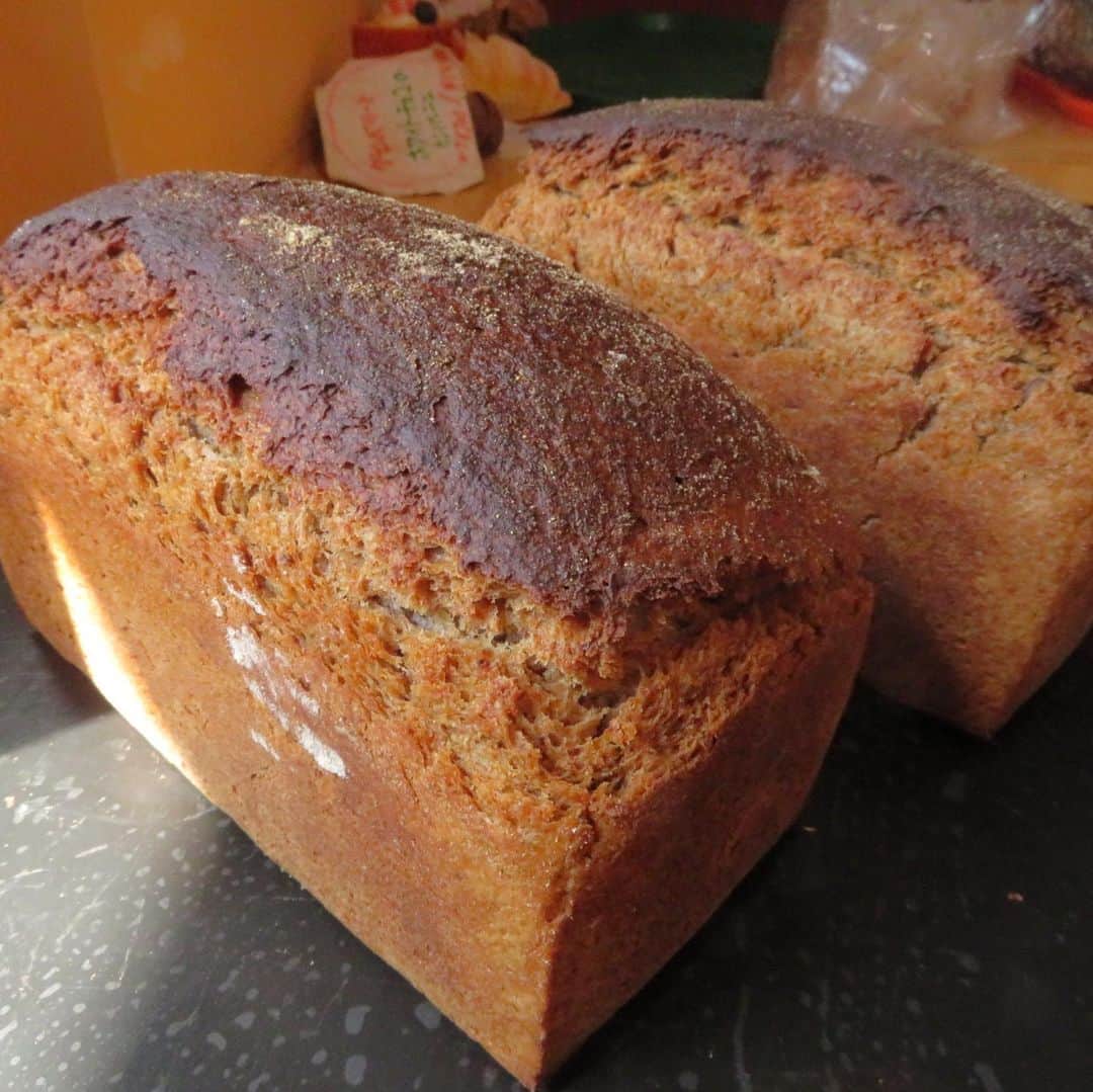 魔女菅原のグルメインスタ