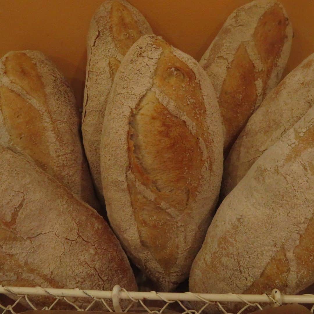 魔女菅原のグルメインスタ