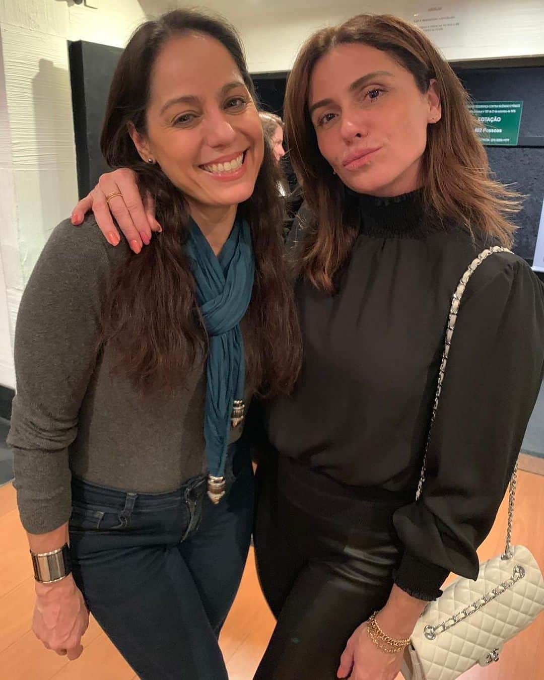 Giovanna Antonelliのインスタグラム：「Com minha amada @claudiamauro45 assistindo sua incrível peça ‘A vida passou por aqui’ !!! Imperdível gente!!! Lov u prima!!!!!! ♥️🌹#edionunes」