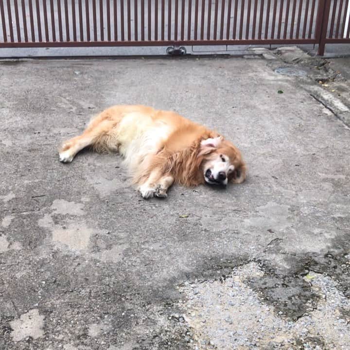 Hoykong&Plamuekのインスタグラム：「คันๆๆๆๆๆ  #hoykong」