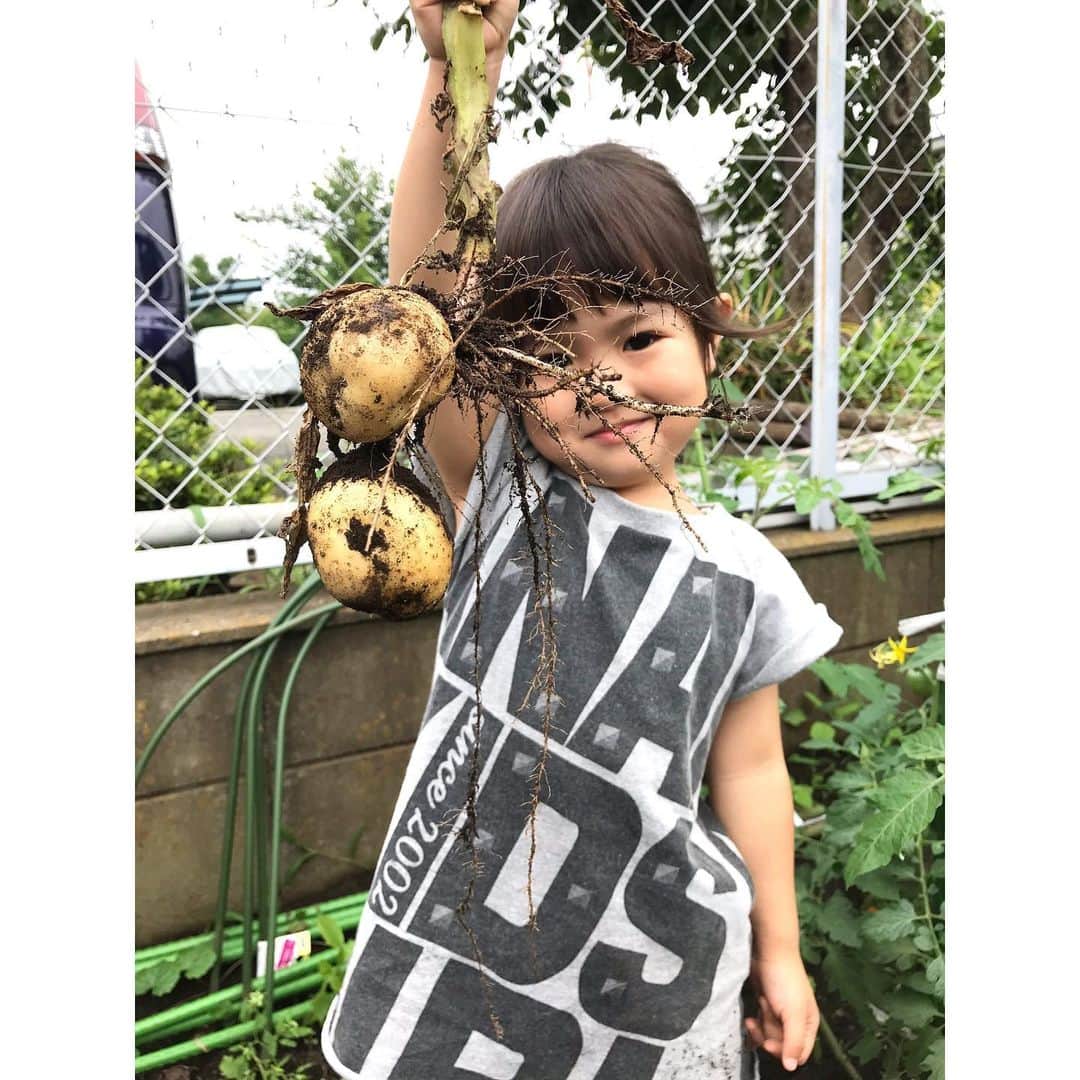 のインスタグラム：「幼稚園に行く前に友達の畑に招待してもらってジャガイモ掘りをさせてもらいました😍 土に触れて、ジャガイモを収穫し、ダンゴムシやゲジゲジ、何かの幼虫を見つけたり…楽しいうえに学びがたくさん❤️ 東京にいるとなかなか出来ないから貴重な時間に感謝するばかり🤤✨ いつかレンタル畑…やりたいなぁ🥒🍅🍆🌽🥔🍠 ・ #なのりの #姉妹 #畑 #収穫体験 #土遊び #虫遊び #自然児 #❤️」