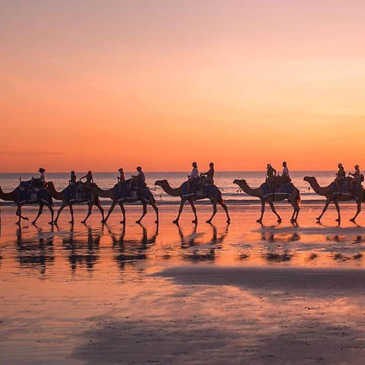 Australiaさんのインスタグラム写真 - (AustraliaInstagram)「Hump day views from #Broome. 🐪🐪 @alexandra.brightt was watching the #sunset on #CableBeach when a #camel train walked by, which is a classic scene in this part of @westernaustralia. @redsuncamels, @broomecamelsafaris and @sundownercameltours all offer sunset camel tours if you want to join in on this must-do activity in @australiasnorthwest, or simply drink in the view from the sand as you watch them stroll by.  #seeaustralia #justanotherdayinwa #thekimberley #australiasnorthwest #wildlifephotography」7月10日 15時00分 - australia