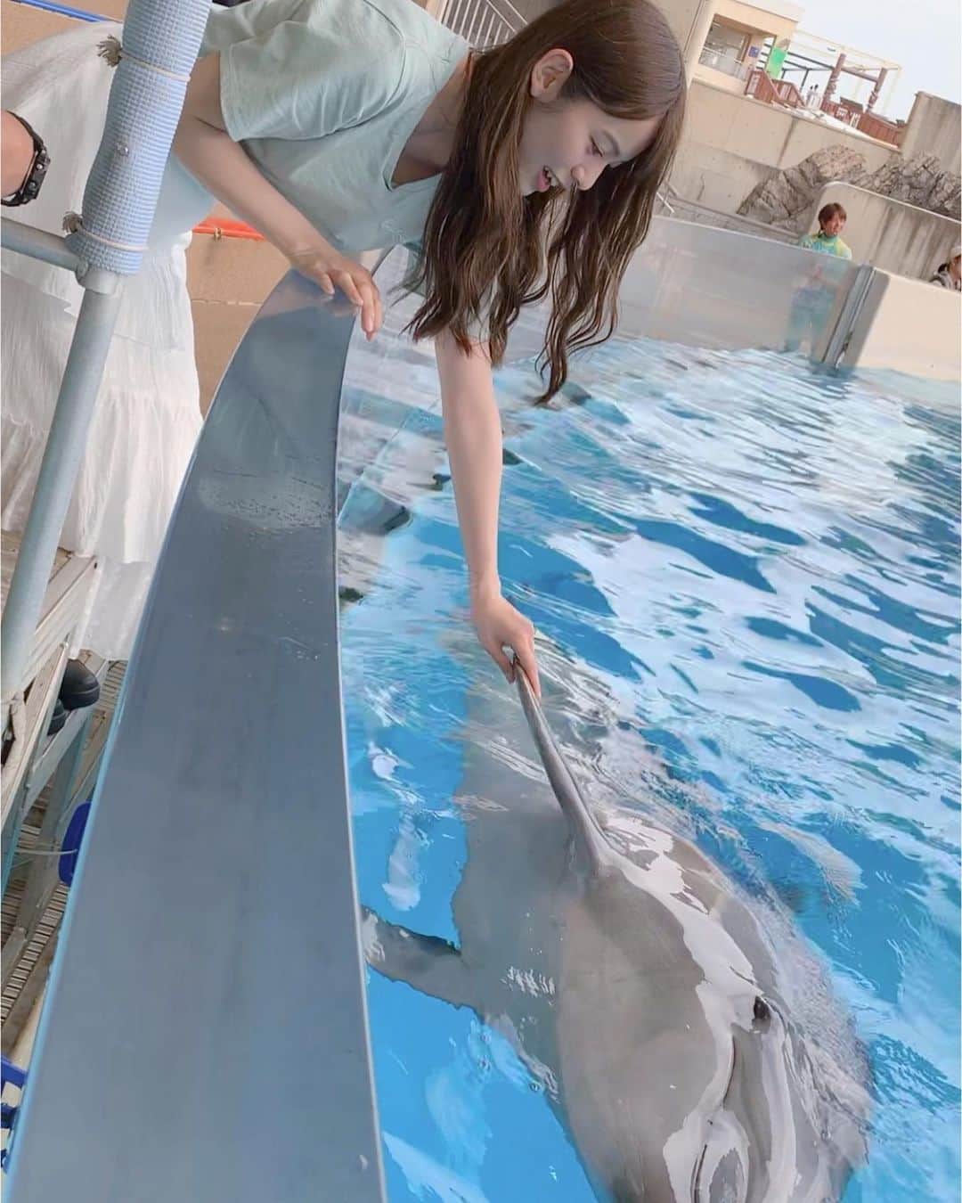 田村響華のインスタグラム：「イルカとはじめての握手！  すっごい優しい目をしてて 会話ができているような 不思議な感覚でした🐬  #えのすい #新江ノ島水族館 #イルカショー #イルカと握手 #🐬」
