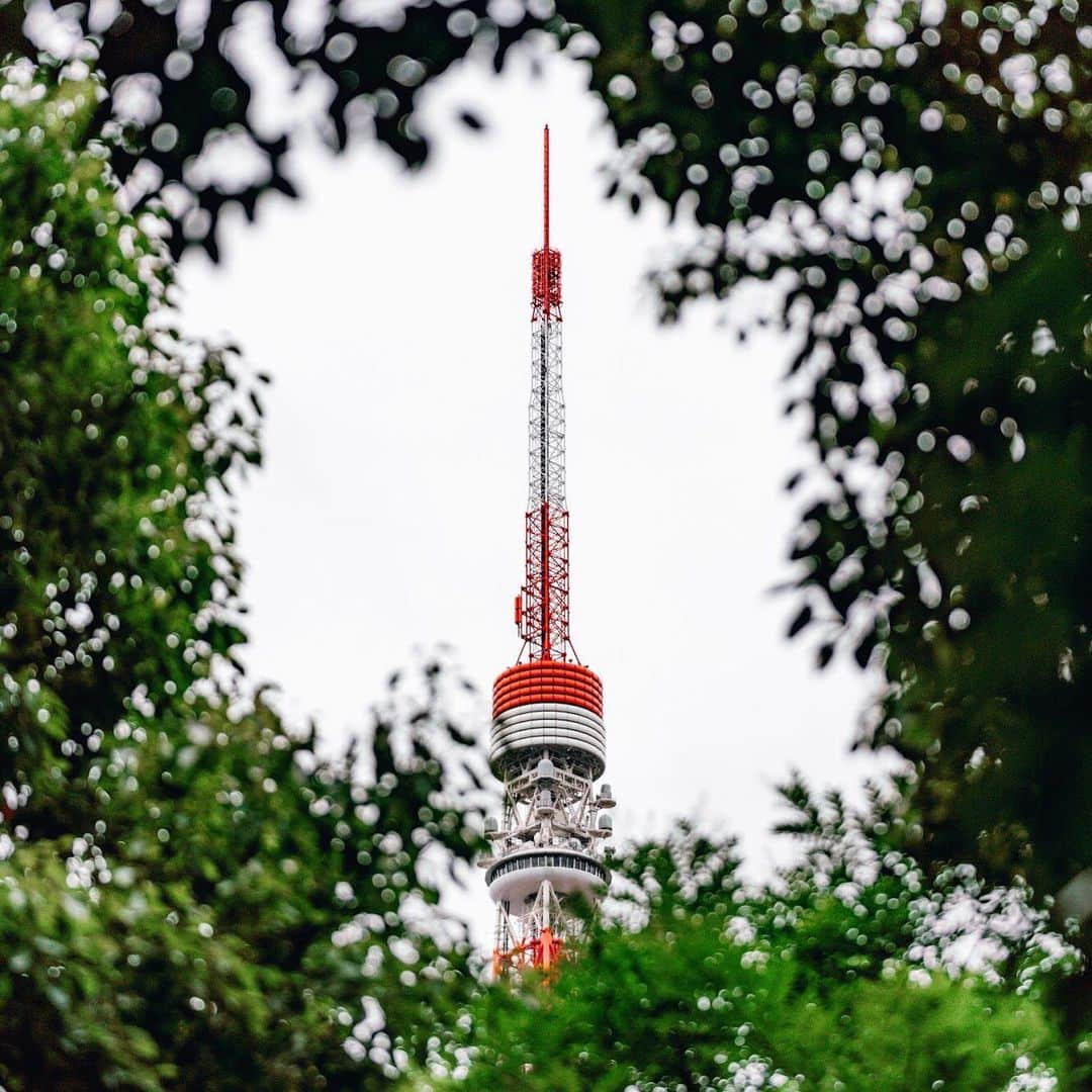 エールフランスさんのインスタグラム写真 - (エールフランスInstagram)「Discover the best travel tips in Tokyo by @guiruch Retrouvez les plus belles découvertes de @guiruch à Tokyo.  #FrenchFlair #TravelbyAirFrance #GoTokyo 📸 @guiruch and @groellvalentin」7月10日 16時22分 - airfrance