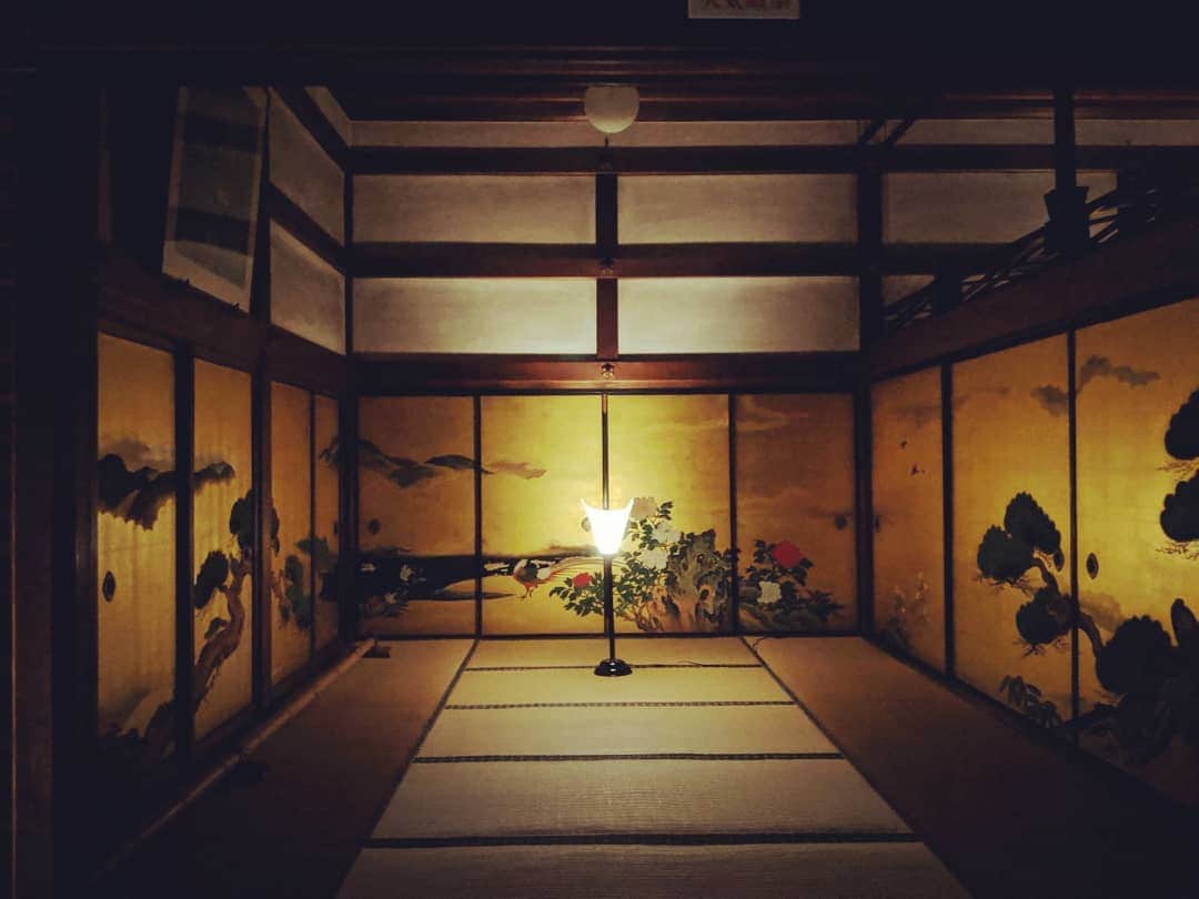 のインスタグラム：「今年の京の夏の旅は、#妙心寺 の塔頭 春光院さんの夜間拝観をご紹介しています！  夜間拝観といえば桜や紅葉のライトアップですが、今回は屋内の金襖を照らし、夏の夜を楽しんでいただく仕立てとなっております。  オーディオガイドアプリon the tripとのコラボレーション企画にも注目です！  詳細は「京都観光ナビ」をご覧ください。 https://ja.kyoto.travel/specialopening/summer/2019/campaignevent/single.php?season_event_id=73  また、下記の記事でもご紹介いただいてます！ https://forbesjapan.com/articles/detail/28315  #travel #Japan #Kyoto #visit_kyoto #kyototrip #kyototravel #kyotogenic #ig_kyoto #ig_japan #kyotohiddengems #kyoto_style #retrip_kyoto #retrip_nippon #京都 #そうだ京都行こう #京の夏の旅」