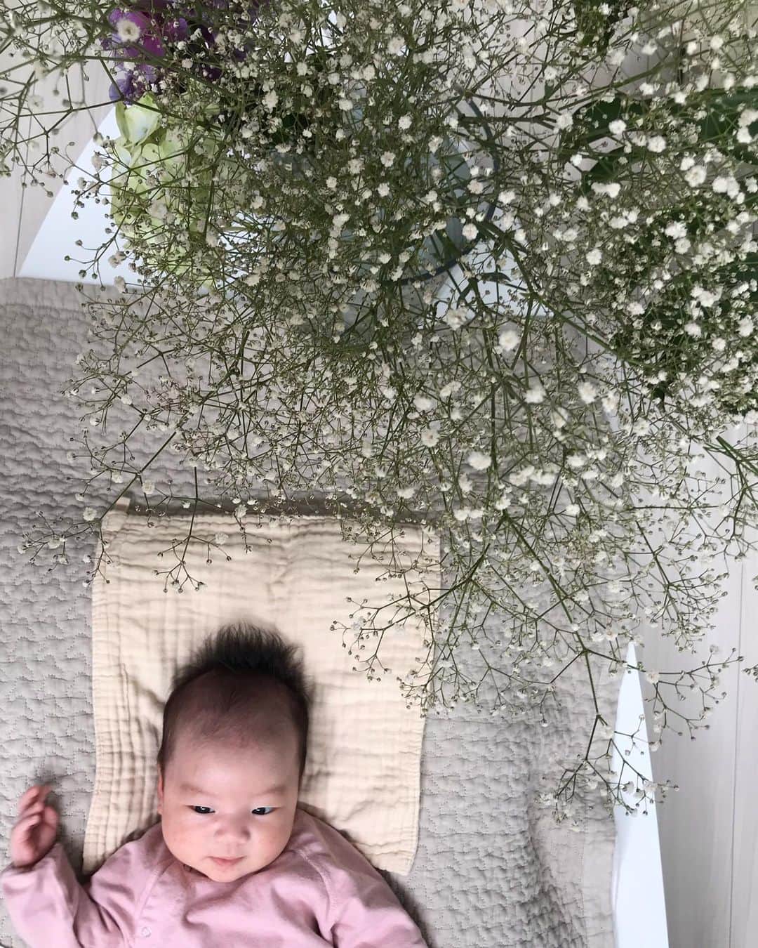 濱中鮎子のインスタグラム：「数年前の結婚パーティでも大量の熊本産のかすみ草を。そしてお嬢の周りにも今可憐なかすみ草が。  それを覚えてくれてた奈美子に感謝。  ありがとう😊優しい子。  花は人生の大切なシーンで、鮮やかに記憶として残る。 それは日常でも。  娘の名前に一文字、「花」を入れたのも、そうして花が特別な日も何の変哲も無い日にも、いつも豊かさをくれたからなのかもしれません。  文化的に豊かであれ！  #蕁麻疹の薬ですんごい眠い一日です😂  #かすみ草 #無垢なお嬢とかすみ草  #昼間一瞬気絶するように寝た #寝かせてくれてありがとうお嬢 #空気読むよね  #お花好きになってね #お嬢」