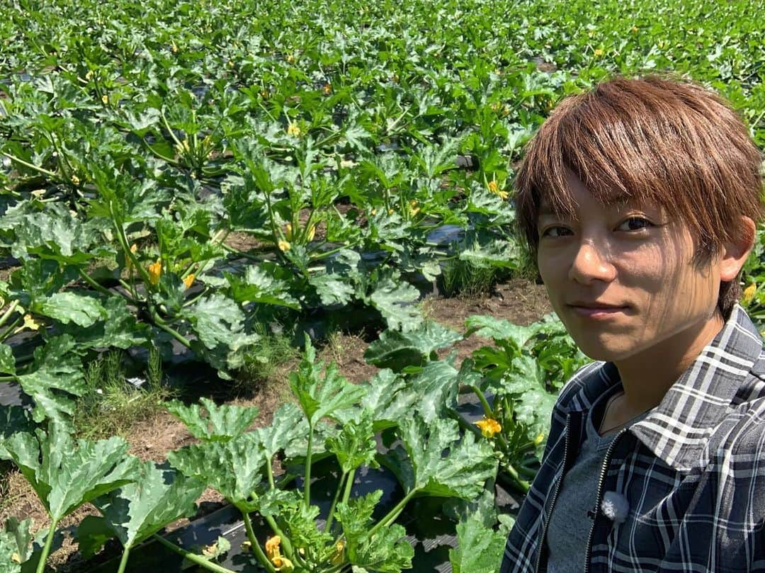 杉浦太陽さんのインスタグラム写真 - (杉浦太陽Instagram)「朝から長野県佐久市へ行って食材ゲット！ 都内に戻って最高の料理に！  青山にあるレストラン、 「Lounge1908」で事前予約すると番組で紹介した料理を食べられるので是非！  ##BS日テレ #旬感レシピ #長野県佐久市 #からの #都内の青山 #Lounge1908 #事前予約で #番組で紹介料理食べられます #抜群に美味しいので是非」7月10日 17時17分 - sugiurataiyou_official