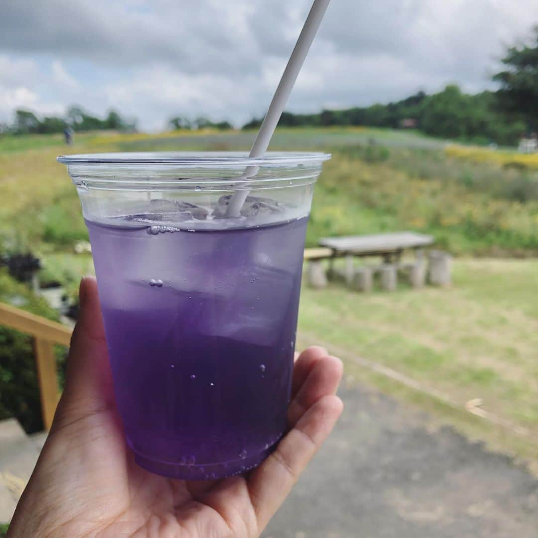 石川由香里のインスタグラム