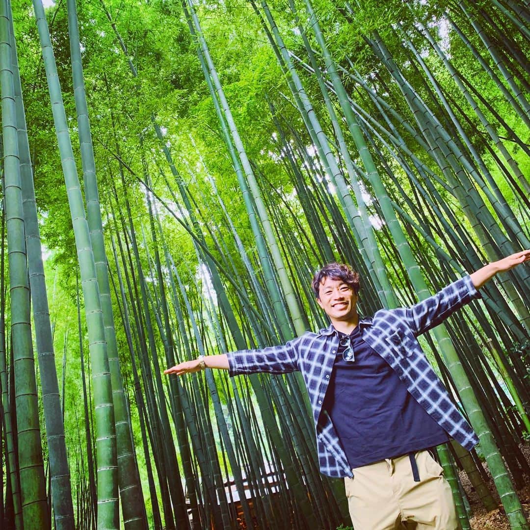 梅崎司のインスタグラム：「day off. 嫁さんと竹林で癒されてきました。 #竹林#寺#大仏」