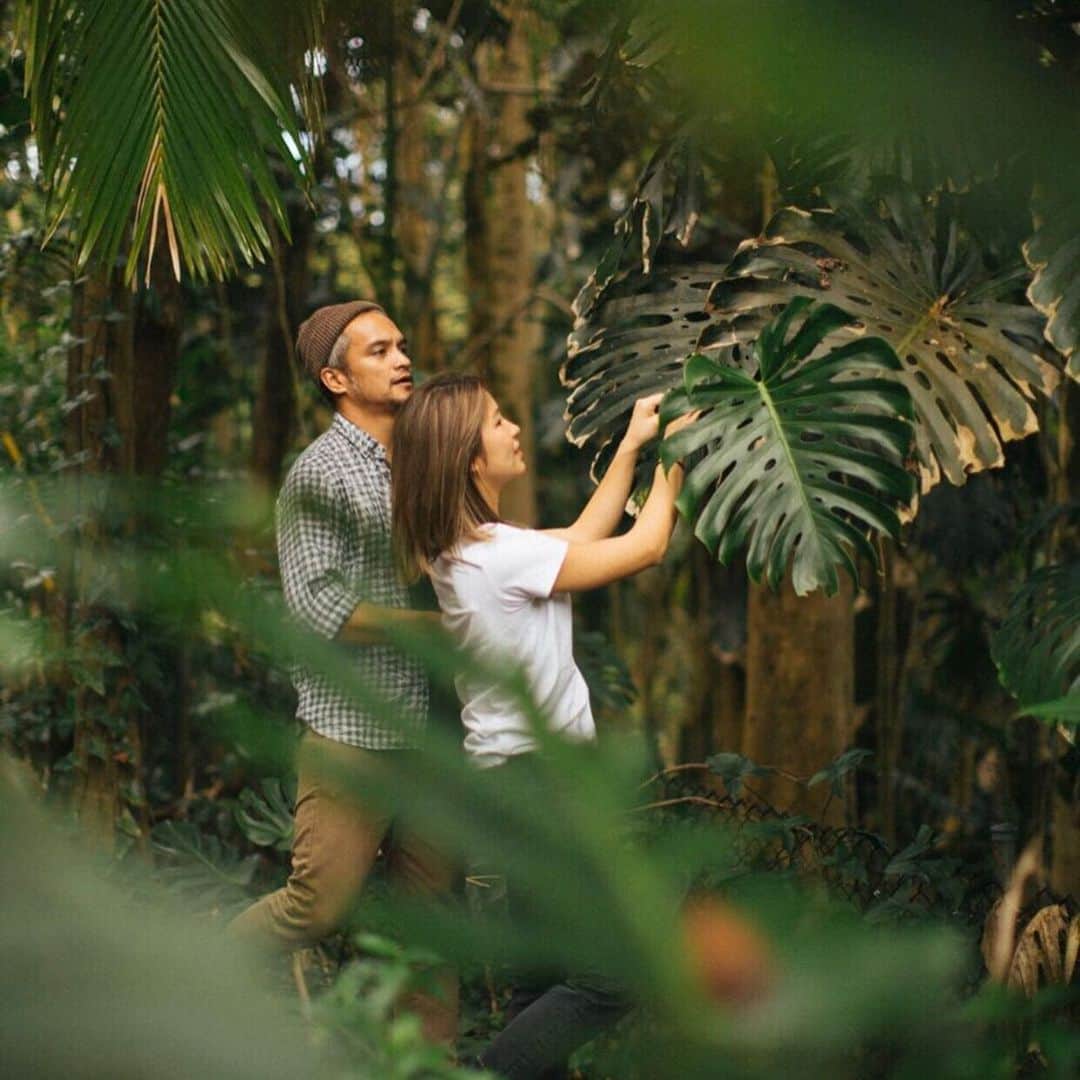エビアン・クーさんのインスタグラム写真 - (エビアン・クーInstagram)「We’re launching a collaboration between HAYN x SIG ON SMITH x ILASWIM tomorrow here in Japan. This collection draws inspiration from, and focus on, the Monstera leaf – a key motif for Hawaiin design in the 1930s. Designer Sig Zane first became interested in vintage etched glass windows and continuously collected numerous pieces. This project has been meaningful to me not only because Hayn and Sig On Smith are both also from Hawaii, but because they share in my belief in the importance of running a value-led company. The talks that we had about the importance of the intersection of design and sustainability let me know that we were on to a great partnership. This alignment is the key reason why I’ve been honored to have worked together. Your support, creativity, vision and energy are the reason why I am where I am.  Hope you all enjoy! Xx  今回のコラボレーションは私にとって大きい事でもあり一年以上にかけてのプランがやっと形にできました。このコレクションは、シグスミスのデザイナー・シグゼーン氏が1930年代のハワイアンデザインの重要なモチーフであるモンステラの葉とエッジグラスからインスピレーションを受けこのようにモンステラ葉を模様柄に。Hayn (ハイアン) 環境に意識を持つフットウェアでもありこのようにハワイブランドの私たちは同じビジョンを抱え、コラボレーションが生まれました。HAYN×SIG ON SMITH×ILASWIM ポップアップ開催期間ハワイをちょっとでも感じれるよう、皆さまにこのコレクションを楽しんでいただきたいと思ってます。明日13時から名古屋いよいよスタートです！楽しみにお待ちしてます。」7月10日 17時39分 - avian_official