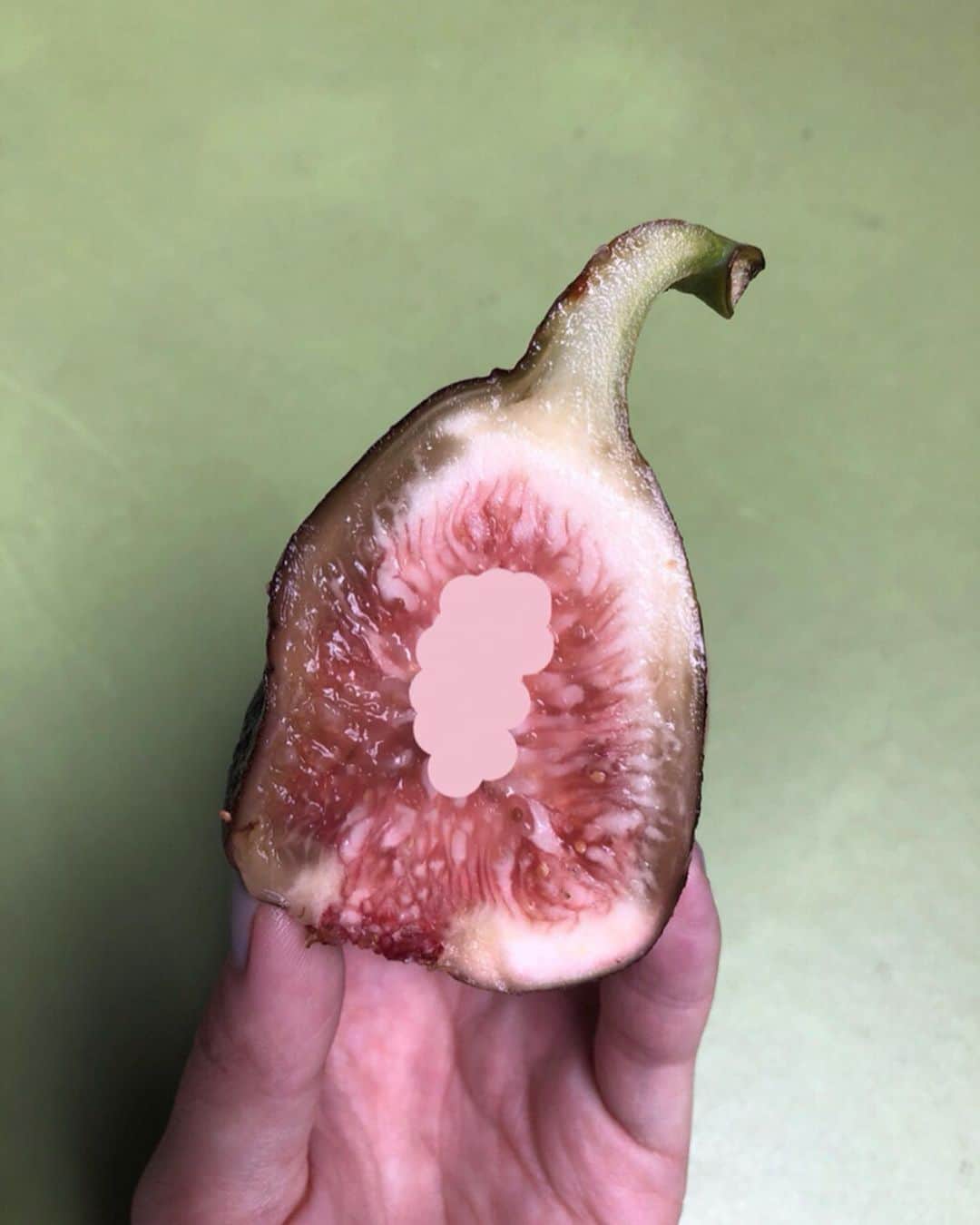 のインスタグラム：「山形県のいちぢく。綺麗。 (いちぢくの真ん中苦手な子いそうなので色ぬりました🙏🏻笑) . 今日はチラッとお昼に京橋へ〜♡ 友達がお手伝いしてる、 京橋エドグランの広場で8月31日までやってる「京橋イチ」とゆうビアガーデンフードイベント☀︎ 平日な今日は会社員の方々にも大人気で お目当てのいちぢくはなんと完売でした🙏🏻すごい！もっと気になるじゃないか！笑 なのでグリーンカレーをいただきました♡うまから！ . 食に興味が湧くお年頃、、、 こんなイベントがもっとたくさんいろいろな県が混じり合ってできたらいいなぁと改めて😊🌷 京橋イチ、お近くに行った際はぜひ寄ってみて下さいな✨ #京橋イチ #PORTE #porte_at_kyobashi」