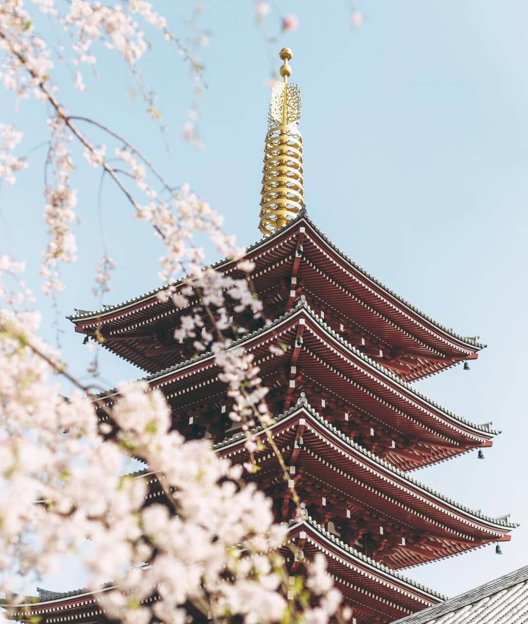 DHC Skincareさんのインスタグラム写真 - (DHC SkincareInstagram)「📍Sensoji Temple, Tokyo 🇯🇵#WanderlustWednesday ✈️ _ Located in Asakusa, #Sensoji is one of the oldest and most significant temples in #Japan, dating back to the year 628. Sensoji contains a sacred statue of Kannon, the goddess of mercy and is surrounded by imposing gates and has a five-story pagoda. Although the temple was destroyed during World War II, it was rebuilt with donations from people across Japan, becoming a symbol of rebirth and peace for the capital. #SensojiTemple #JapanTravel」7月11日 4時01分 - dhcskincare
