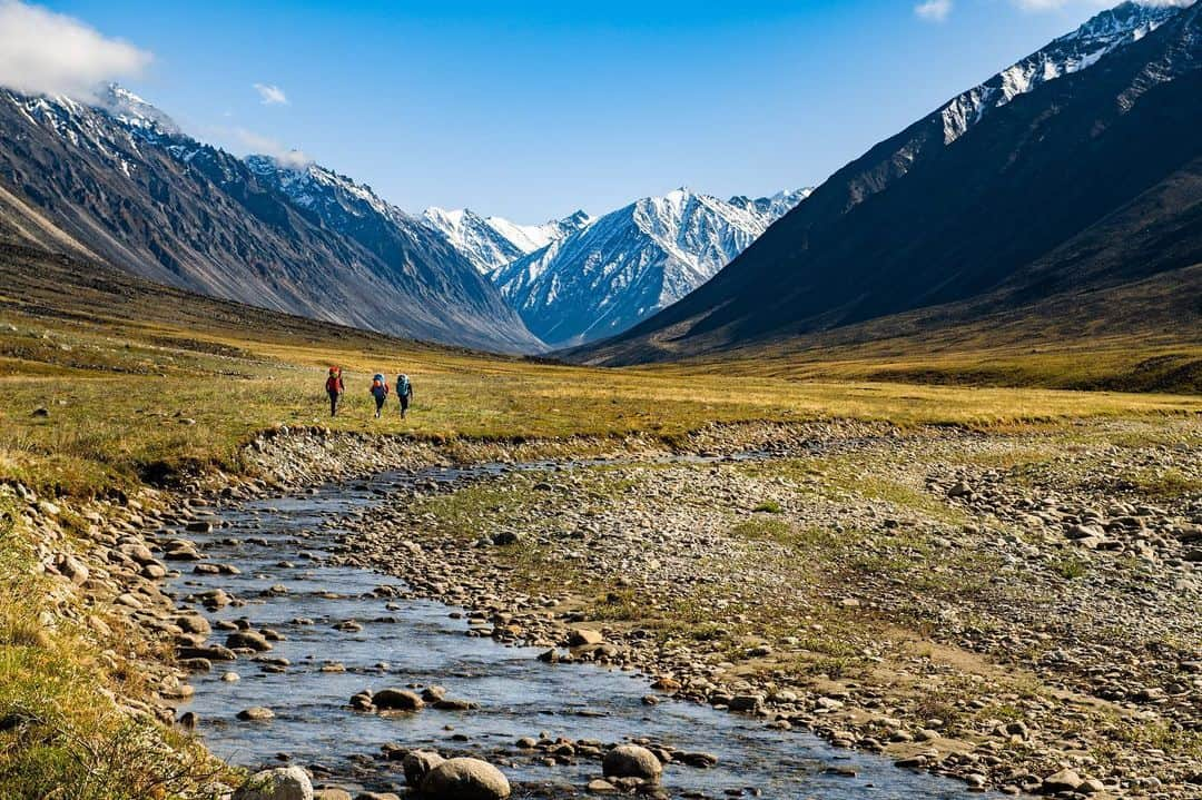 patagoniaさんのインスタグラム写真 - (patagoniaInstagram)「“The nature surrounding our communities is changing. There is increasing threat of food scarcity as rivers dry and temperatures change. Life is at risk.” - Bernadette Demientieff, Executive Director of @ourarcticrefuge.⁠⠀ ⁠⠀ The decision to reopen the Arctic National Wildlife Refuge to oil drilling threatens the food security and traditional way of life of the Gwich'in people, who have lived in close communion with this land for thousands of years. It will also irrevocably damage the vibrant and vital ecosystems of this incredible national treasure.⁠⠀ In the coming weeks, we hope Congress will vote on H.R.1146, which would STOP the current Administration's push to lease the Arctic Refuge to oil and gas companies. Text ARCTIC to 40649 or check the link in bio.⁠⠀ ⁠⠀ Last month, ambassadors @tommycaldwell, @clare_gallagher_runs, and @slukenelson traveled to Alaska to attend the 2019 Arctic Indigenous Climate Summit. They were humbled and honored to listen to voices from of the Gwich’in Nation, a variety of Alaska Native perspectives from neighboring communities about the dramatic effects of climate change on the Arctic landscape.⁠⠀ ⁠⠀ Afterward, the trio set out on a wild overland adventure through the heart of the Refuge, hiking, climbing, and packrafting their way across this pristine and threatened landscape. All this week we will be sharing more about their trip here on our feed and in our stories, and on @patagonia_climb and @patagonia_trailrunning.⁠⠀ ⁠⠀ Images and words: @austin_siadak」7月11日 4時07分 - patagonia