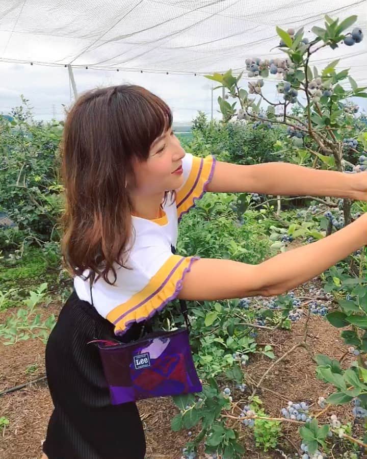 阪本智子のグルメインスタ