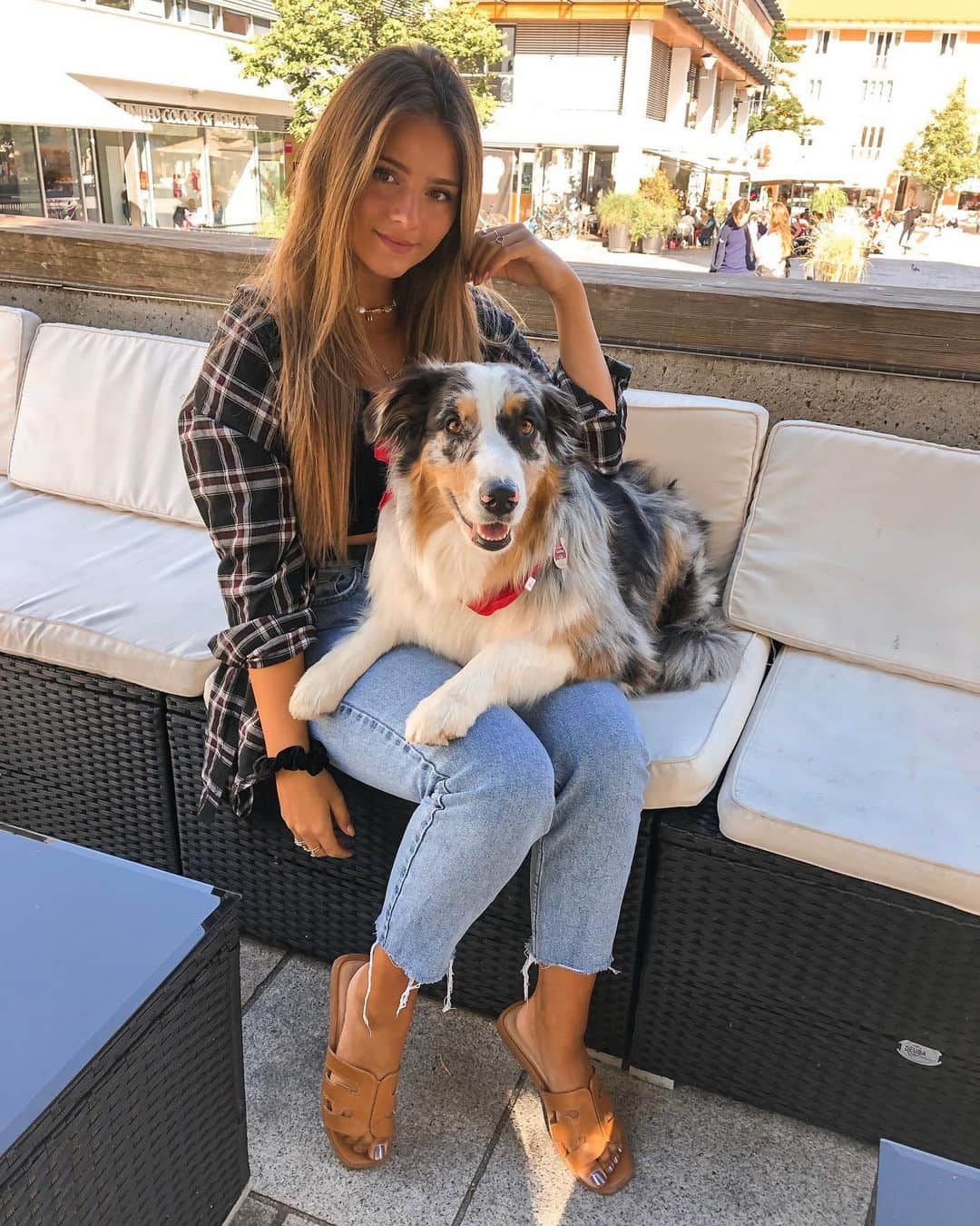 Jessy Hartelさんのインスタグラム写真 - (Jessy HartelInstagram)「Doggo 🐶 ❤️ @aussie.cassy #australianshepherd ~werbung」7月11日 5時04分 - jessyhartel