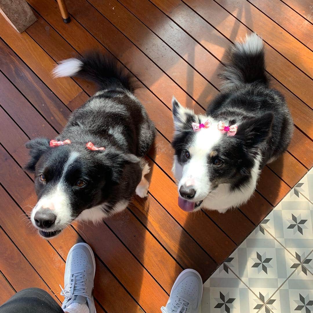 ロナウドのインスタグラム：「#Nina #Paçoca 🐶🌺」