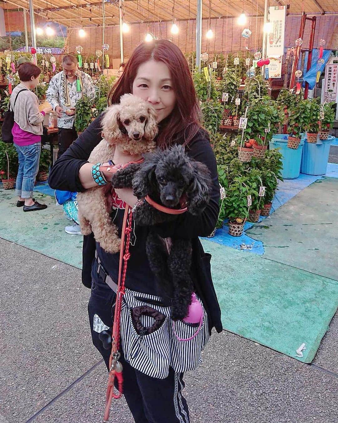 井上貴子のインスタグラム：「昨日 仕事終わりで 浅草寺さんの ほおずき市に行ってきた！ 滑り込みセーフ！！！ 今年も功徳を積むぞ^ ^  いつも購入するところで 新しい風鈴をサービスで 付けてもらって…  年に一度のおたのしみなの。  夏が来たなーー^ ^  そしてウチの初代トイプーの べーたんとるーじゅが 帰ってくる頃だ^ ^  毎年かかさずに 引っ越ししても欠かさず 黄金虫の姿になって現れる。  待ってるよぉ♡  Happyで^ ^  #井上貴子  #LLPWX #女子プロレス #紅緒と柊音 #トイプードル #浅草寺 #ほおずき市 #初代トイプー #べーたんとるーじゅ #黄金虫」