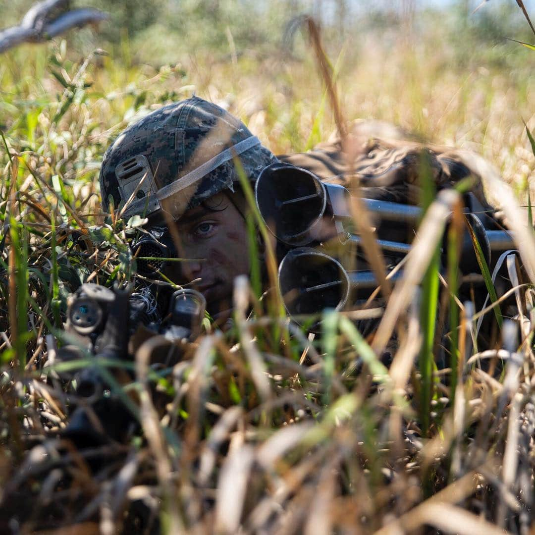 アメリカ海兵隊さんのインスタグラム写真 - (アメリカ海兵隊Instagram)「Now You See Me  Cpl. Chase A. Svatek, a team leader with @31stMEU, provides security during a boat raid exercise on Townshend Island, Shoalwater Bay Training Area, Queensland, Australia. (U.S. Marine Corps photo by Cpl. Brennan Priest)  #Marines #USMC #Military #Australia」7月10日 20時40分 - marines