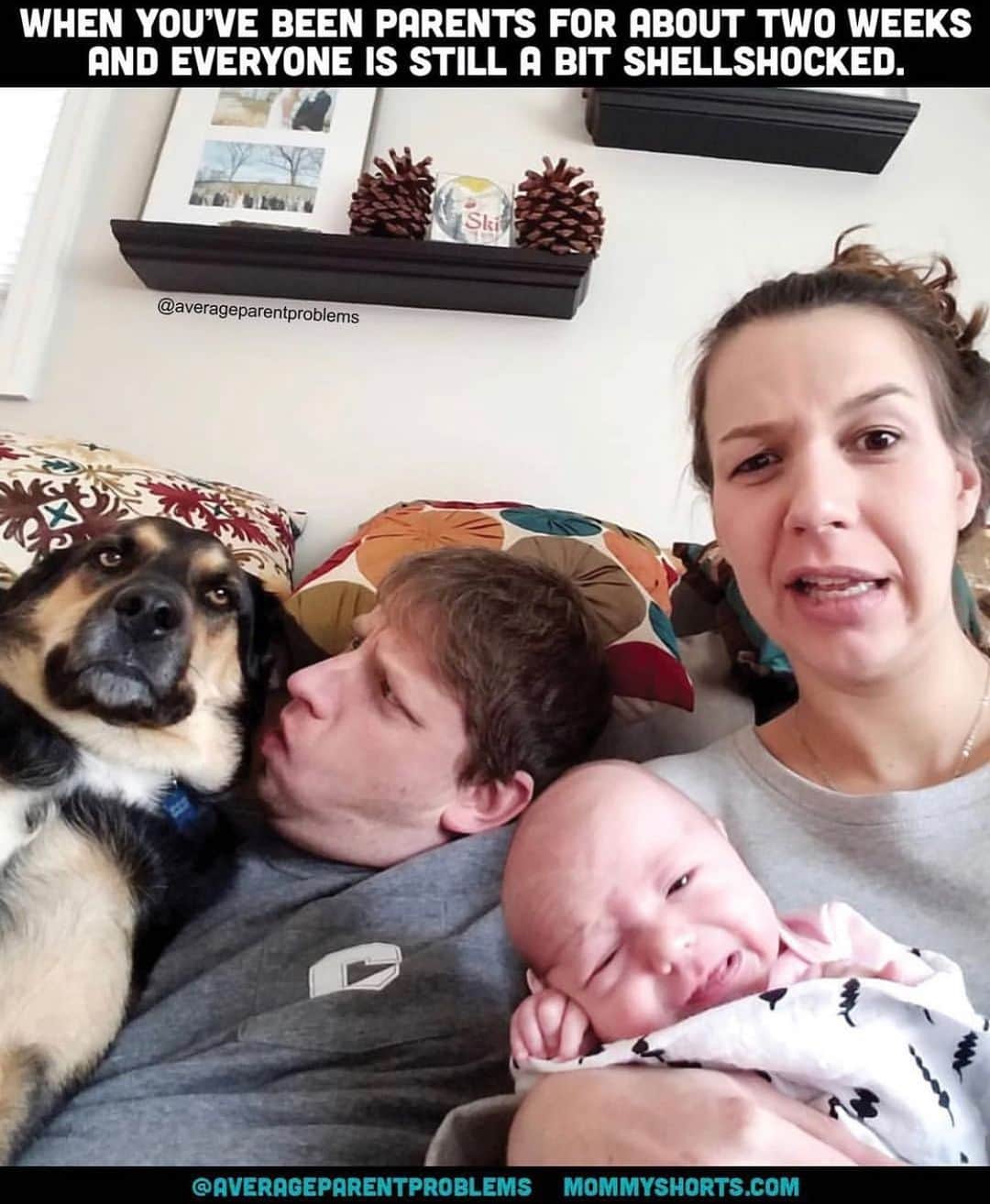 Average Parent Problemsさんのインスタグラム写真 - (Average Parent ProblemsInstagram)「THE DOG 😂😂😂 Tag a brand new mom and tell them it’s going to be okay!!! #newmomlife Photo: grace_a_lynn」7月10日 20時40分 - averageparentproblems